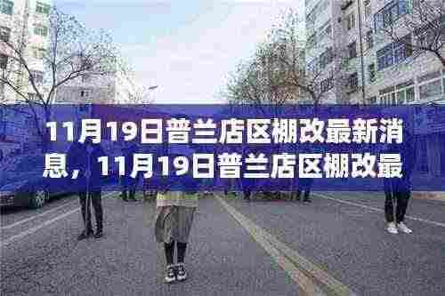 普兰店区棚改最新进展顺利,新动态一览,11月19日最新消息发布