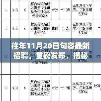 揭秘往年11月20日句容最新招聘科技人才,科技之光照亮未来职场之路!