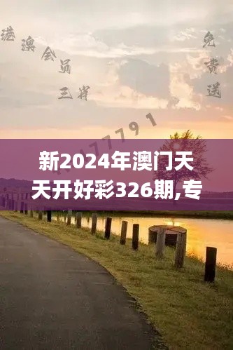 新2024年澳门天天开好彩326期,专业手册指导解答_SHM1.71.75实用版