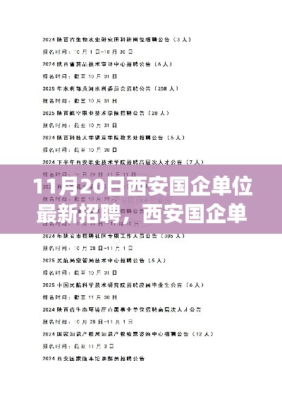 11月20日西安国企单位招聘动态,聚焦职场机遇与挑战