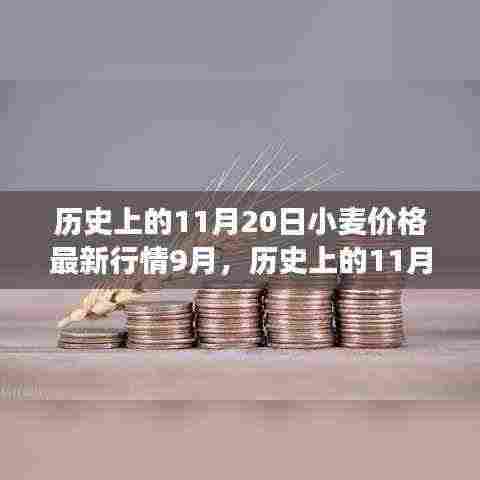 历史上的11月20日小麦价格最新行情分析与未来趋势预测——以9月市场为例