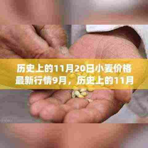 历史上的11月20日小麦价格最新行情分析与未来趋势预测——以9月市场为例