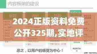 2024正版资料免费公开325期,实地评估解析说明_VPS2.34.32黄金版