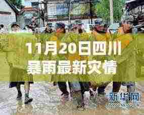 四川暴雨应对利器,智能科技产品的革新体验与最新灾情分析(11月20日)