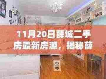 11月20日薛城二手房最新房源探秘,揭秘市场隐藏宝藏与小巷特色小店