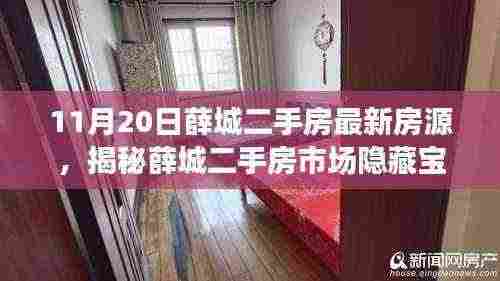 11月20日薛城二手房最新房源探秘,揭秘市场隐藏宝藏与小巷特色小店