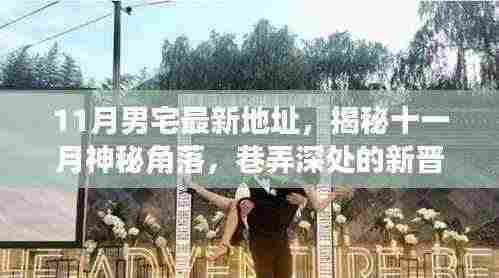 揭秘十一月神秘角落,宅男乐园与隐藏特色小店的魅力
