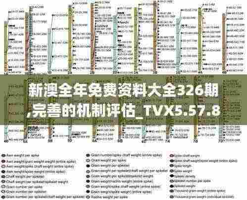 新澳全年免费资料大全326期,完善的机制评估_TVX5.57.87领航版
