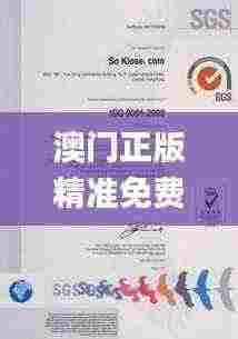 澳门正版精准免费大全,深入挖掘解释说明_NEF92.511SE版