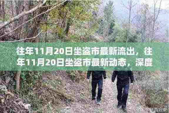 往年11月20日坐盗市最新动态及深度解析,前沿资讯一览