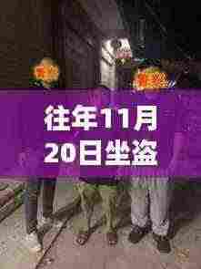 往年11月20日坐盗市最新动态及深度解析,前沿资讯一览