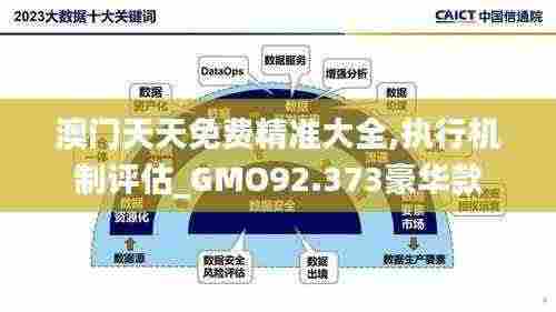 澳门天天免费精准大全,执行机制评估_GMO92.373豪华款