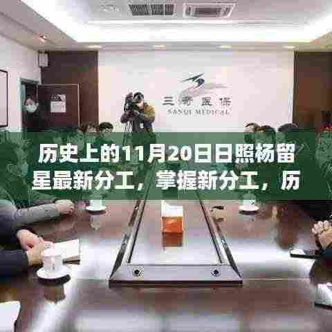 日照杨留星新分工角色解析与执行指南,11月20日最新动态及历史回顾标题建议,日照杨留星新任分工深度解读与角色概览——历史上的重要时刻及未来任务执行指南。