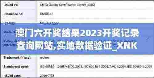 澳门六开奖结果2023开奖记录查询网站,实地数据验证_XNK92.998梦想版