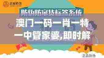 澳门一码一肖一特一中管家婆,即时解答解析分析_JLB92.926获取版