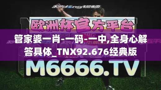 管家婆一肖-一码-一中,全身心解答具体_TNX92.676经典版