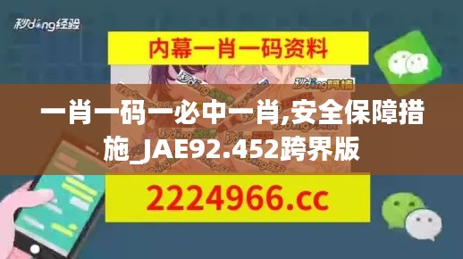 一肖一码一必中一肖,安全保障措施_JAE92.452跨界版