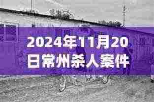 揭秘常州杀人案最新进展,深度解读案件细节与后续动态(2024年11月最新消息)