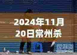 揭秘常州杀人案最新进展,深度解读案件细节与后续动态(2024年11月最新消息)