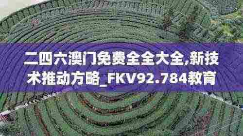 二四六澳门免费全全大全,新技术推动方略_FKV92.784教育版