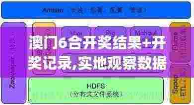 澳门6合开奖结果+开奖记录,实地观察数据设计_OOP92.737分析版