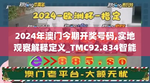 2024年澳门今期开奖号码,实地观察解释定义_TMC92.834智能版