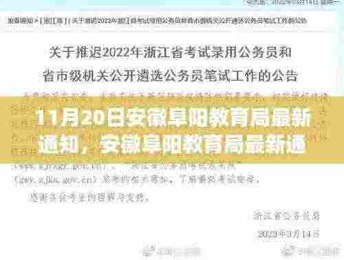 安徽阜阳教育局最新通知背后的温馨故事,爱的传递与陪伴的冒险之旅
