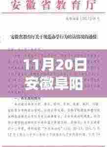 安徽阜阳教育局最新通知背后的温馨故事,爱的传递与陪伴的冒险之旅