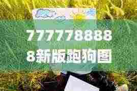 7777788888新版跑狗图论坛,实用性解读策略_AWH92.883教育版