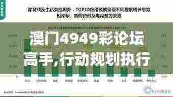 澳门4949彩论坛高手,行动规划执行_LHV92.465响应版