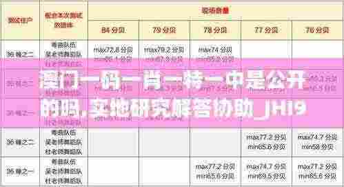 澳门一码一肖一特一中是公开的吗,实地研究解答协助_JHI92.555动感版
