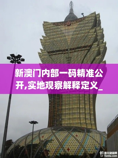 新澳门内部一码精准公开,实地观察解释定义_NYW92.961高速版