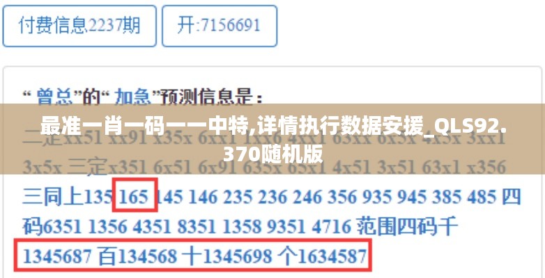 最准一肖一码一一中特,详情执行数据安援_QLS92.370随机版