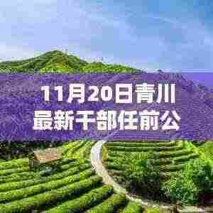 青川最新干部任前公示揭晓,开启发展新篇章的小温馨