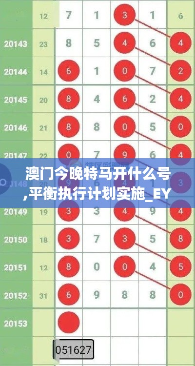 澳门今晚特马开什么号,平衡执行计划实施_EYW92.223游戏版