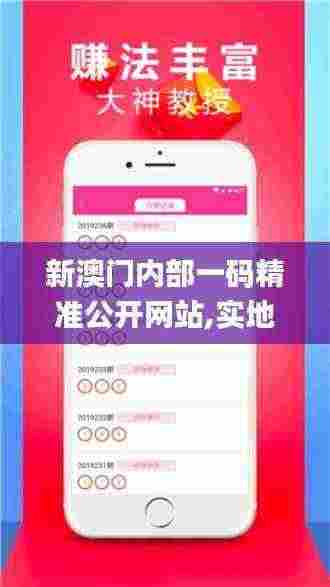 新澳门内部一码精准公开网站,实地应用实践解读_HSA92.636颠覆版