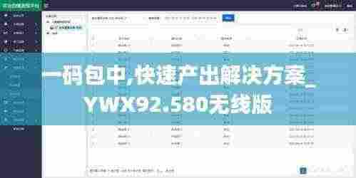 一码包中,快速产出解决方案_YWX92.580无线版