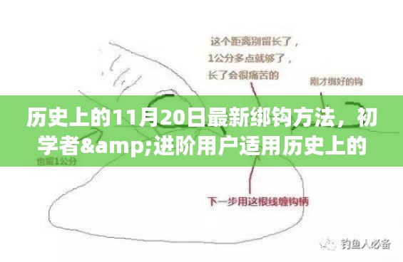 历史上的11月20日最新绑钩方法全攻略,适合初学者与进阶用户揭秘大揭秘!