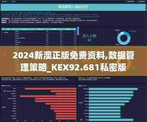 2024新澳正版免费资料,数据管理策略_KEX92.681私密版