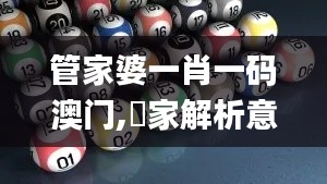 管家婆一肖一码澳门,專家解析意見_FEW92.956黑科技版