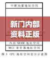新门内部资料正版资料,数据引导设计方法_TFQ92.454动态版