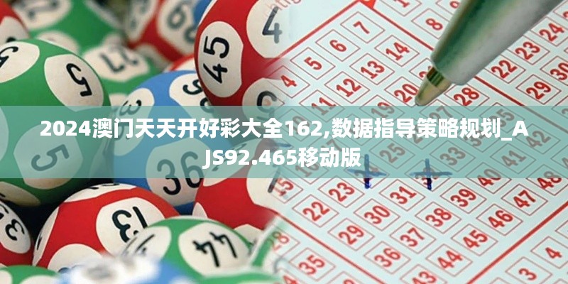 2024澳门天天开好彩大全162,数据指导策略规划_AJS92.465移动版