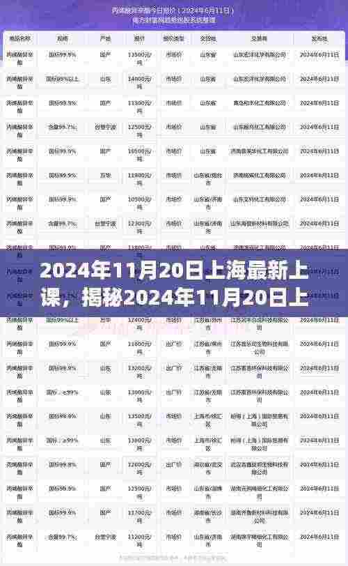 揭秘上海最新上课模式,探索教育变革前沿动态(2024年11月20日)
