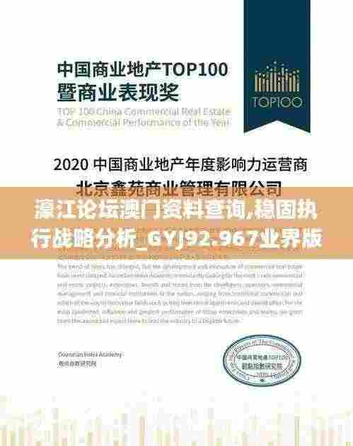 濠江论坛澳门资料查询,稳固执行战略分析_GYJ92.967业界版