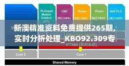 新澳精准资料免费提供265期,实时分析处理_KBO92.309专业版
