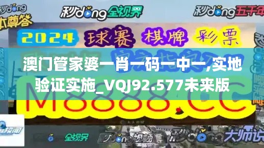 澳门管家婆一肖一码一中一,实地验证实施_VQJ92.577未来版