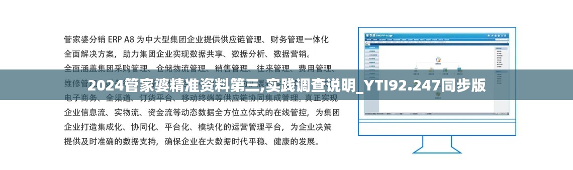 2024管家婆精准资料第三,实践调查说明_YTI92.247同步版