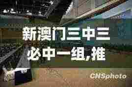 新澳门三中三必中一组,推动策略优化_TGM92.953零售版