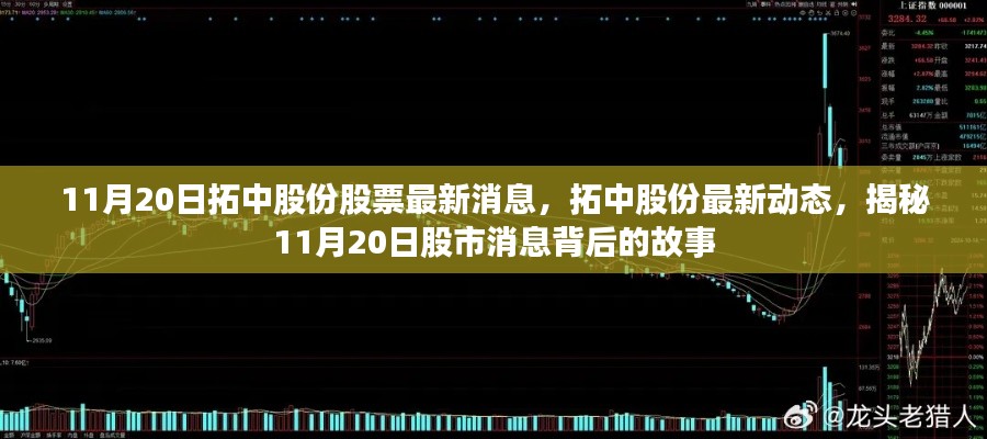 揭秘拓中股份最新动态与股市消息背后的故事(11月20日更新)