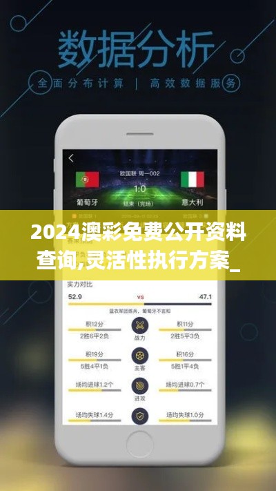 2024澳彩免费公开资料查询,灵活性执行方案_HYF92.233结合版